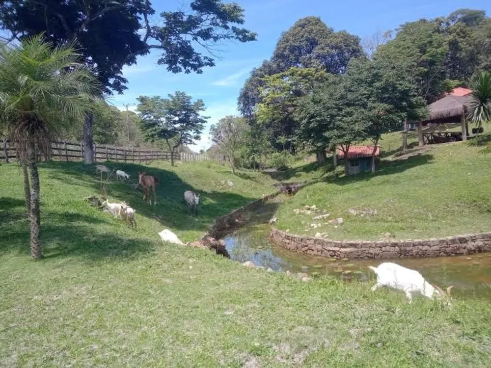 Fazenda, 10 quartos - Foto 2