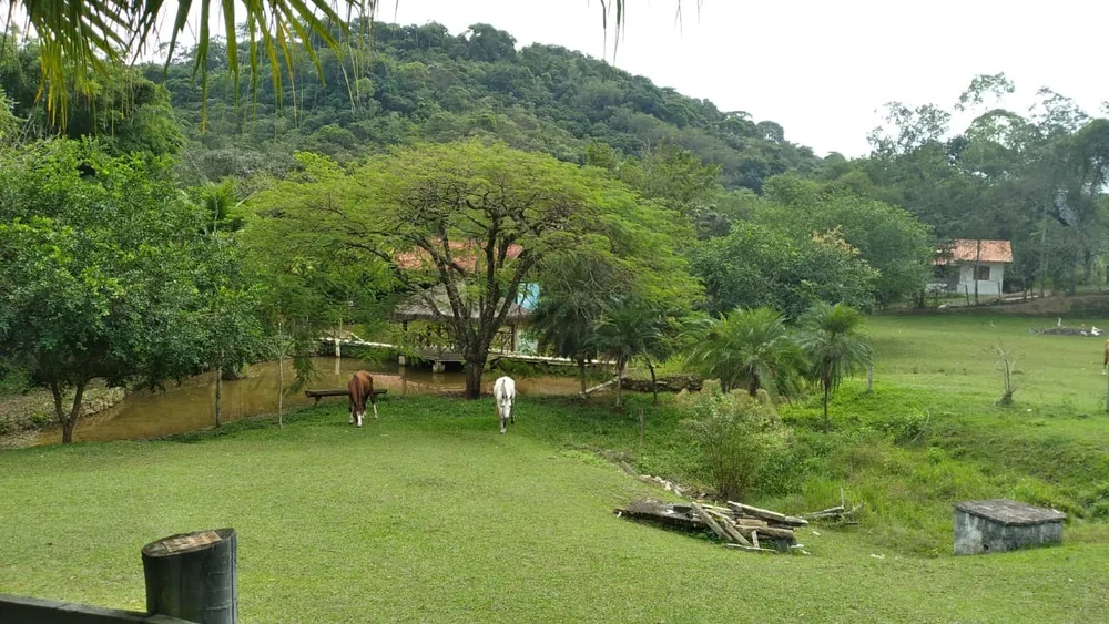 Fazenda, 10 quartos - Foto 6