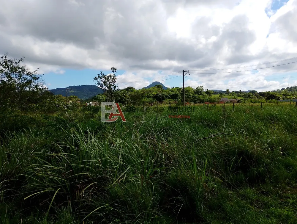 Terreno, 1200 m² - Foto 5