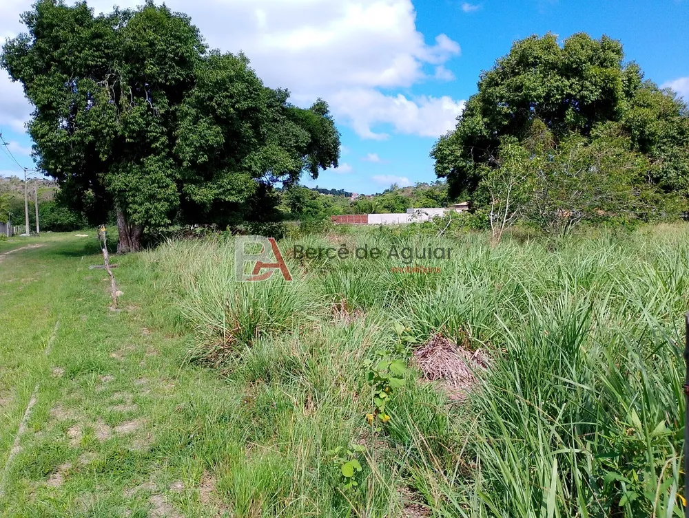 Terreno, 1200 m² - Foto 6