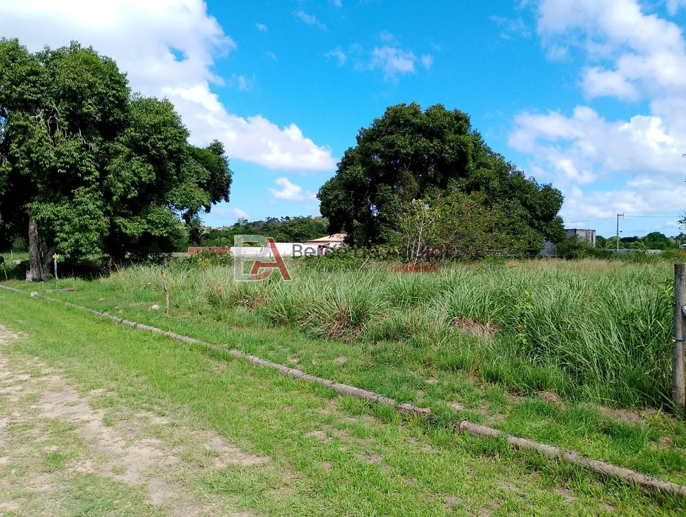 Terreno, 1200 m² - Foto 1