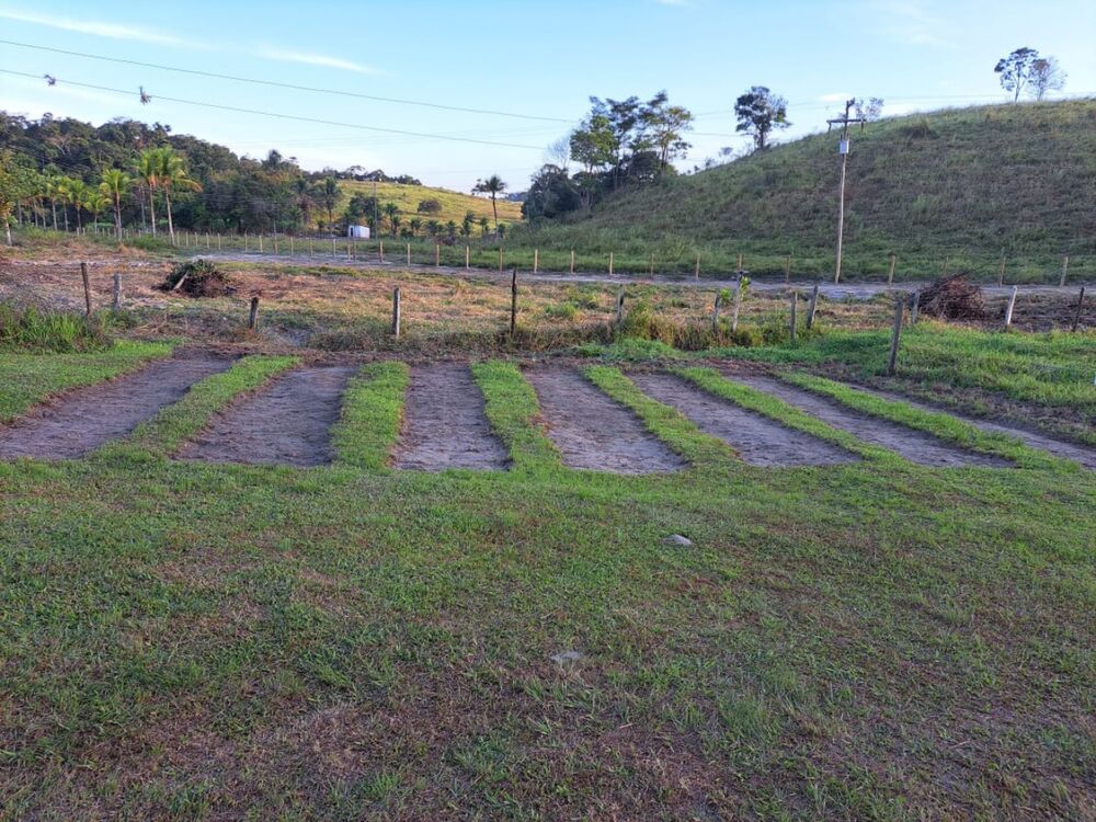 Sítio à venda com 4 quartos - Foto 6