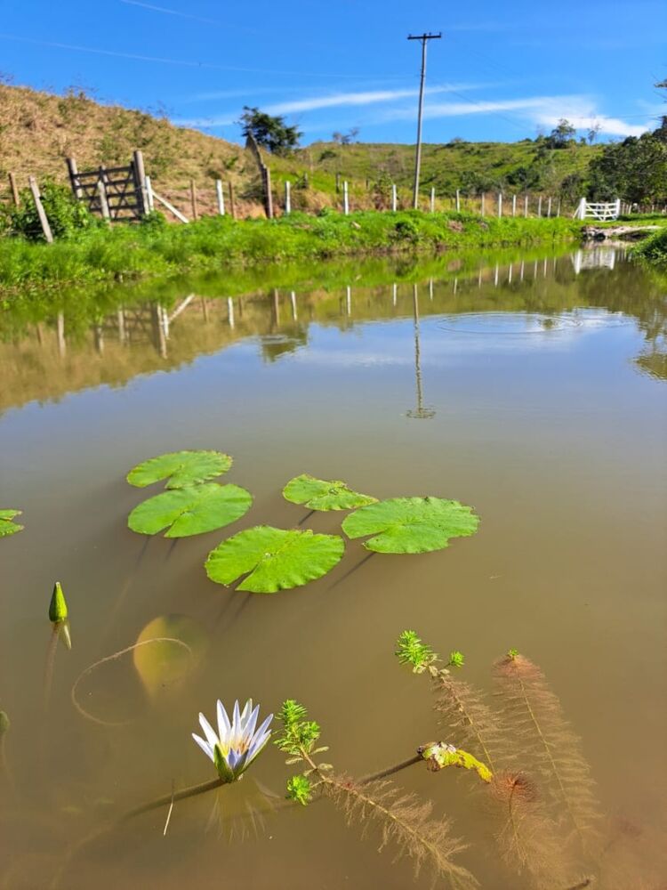 Sítio à venda com 4 quartos - Foto 7