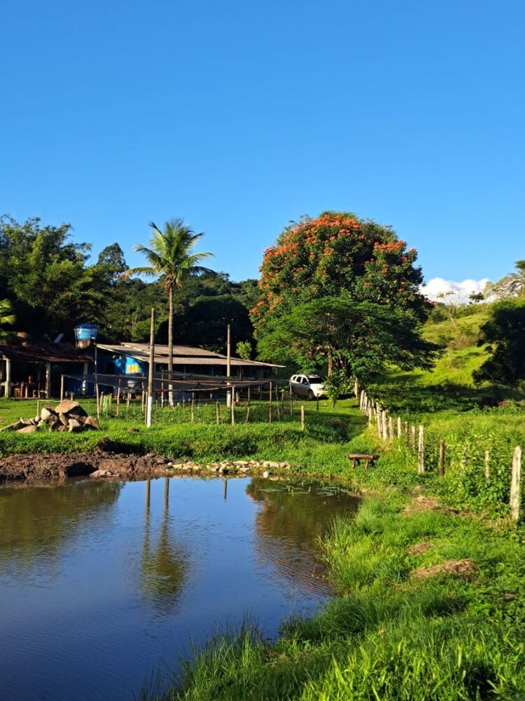 Sítio à venda com 4 quartos - Foto 8