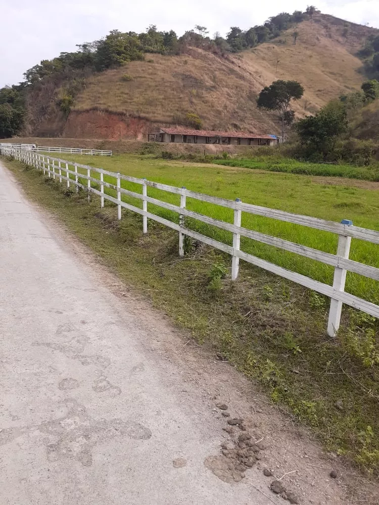 Fazenda - Foto 1