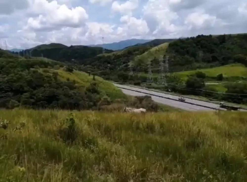 Fazenda - Foto 11