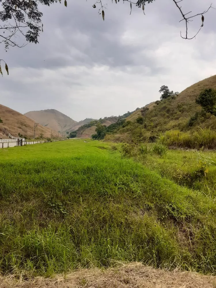 Fazenda - Foto 6
