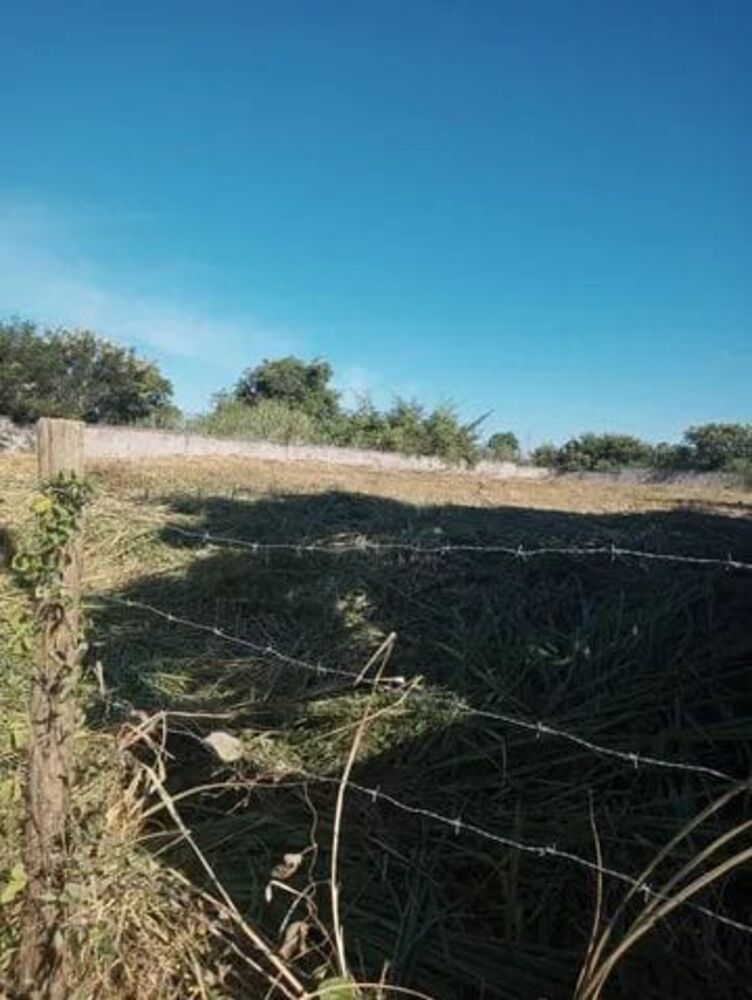 Terreno, 1980 m² - Foto 5