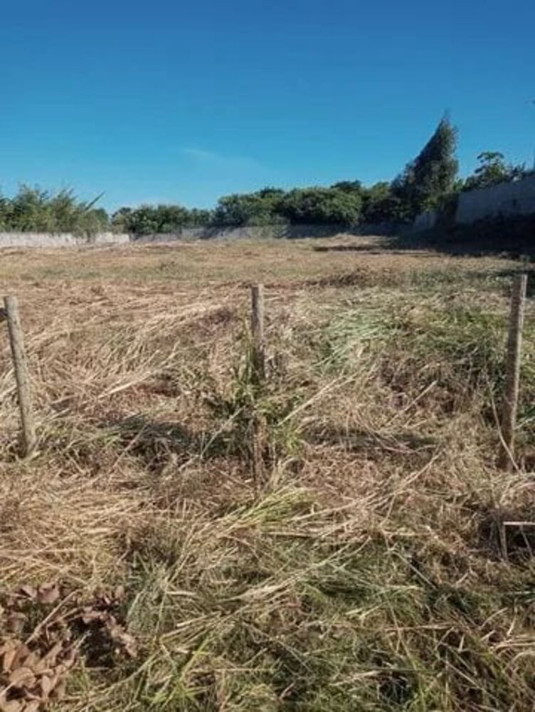 Terreno, 1980 m² - Foto 2