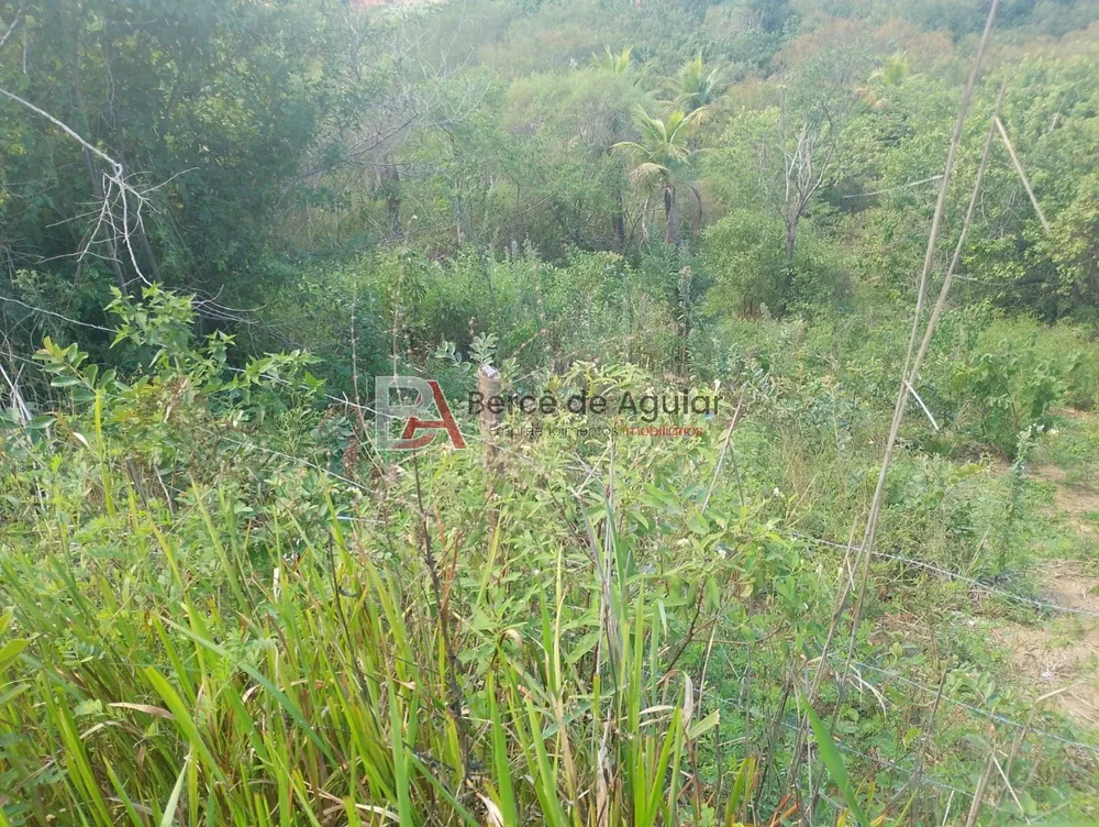Terreno, 1100 m² - Foto 10