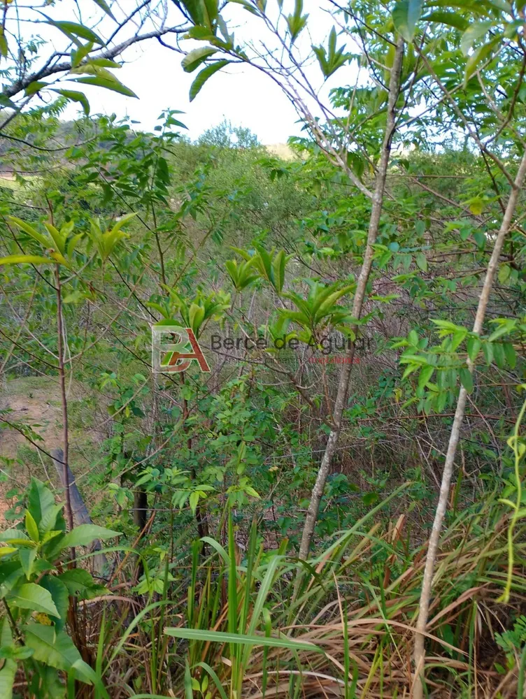 Terreno, 1100 m² - Foto 6