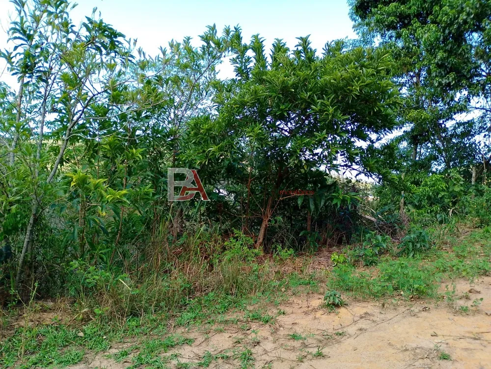 Terreno, 1100 m² - Foto 5