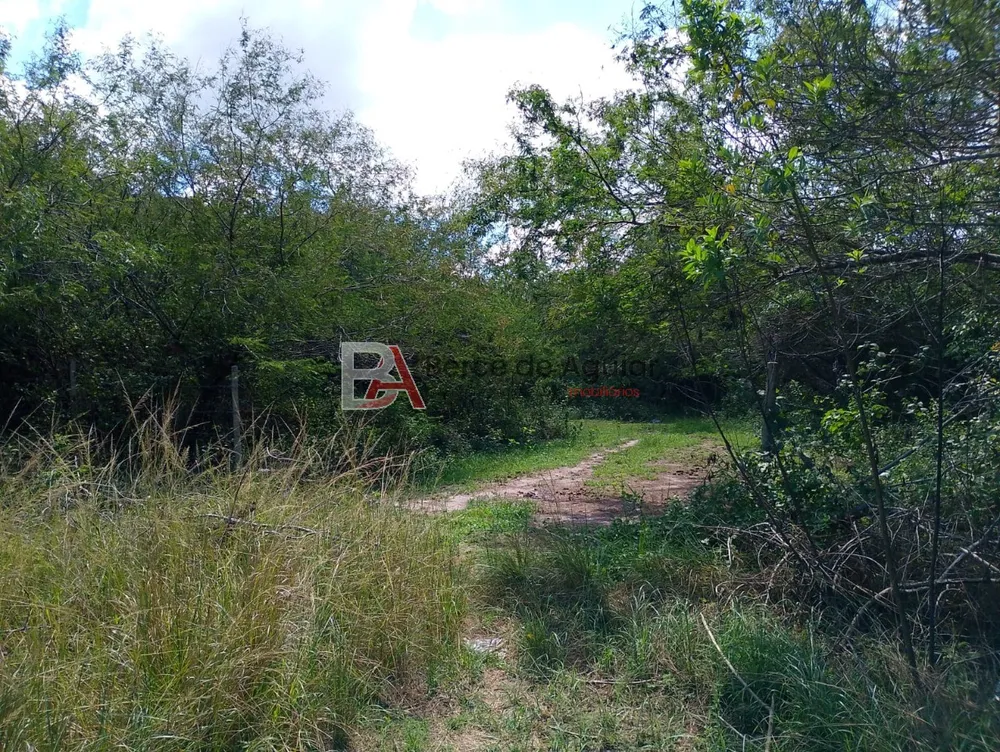 Terreno, 1100 m² - Foto 1