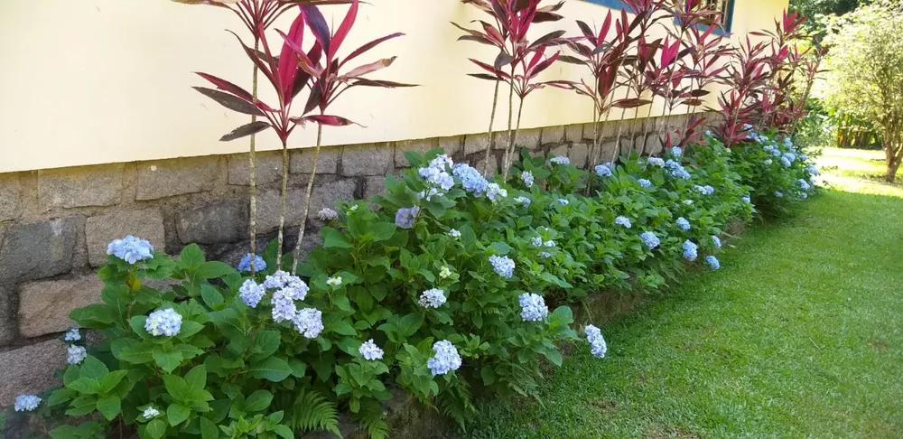 Sítio, 5 quartos - Foto 40