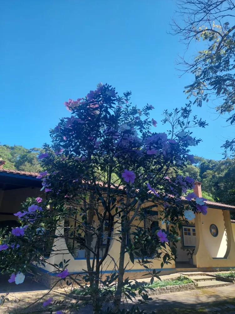 Sítio, 5 quartos - Foto 17
