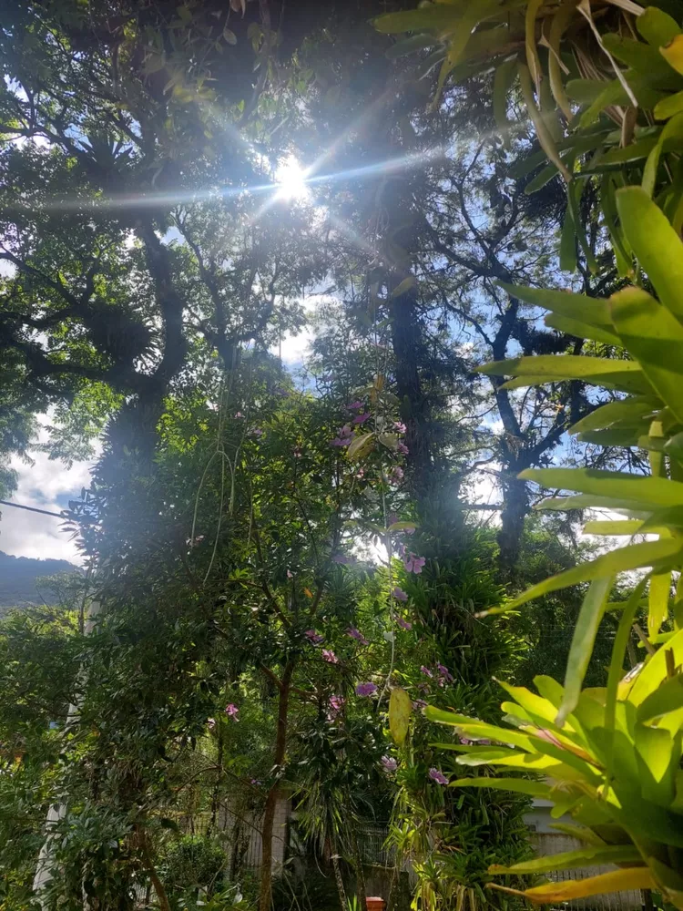 Sítio, 5 quartos - Foto 21