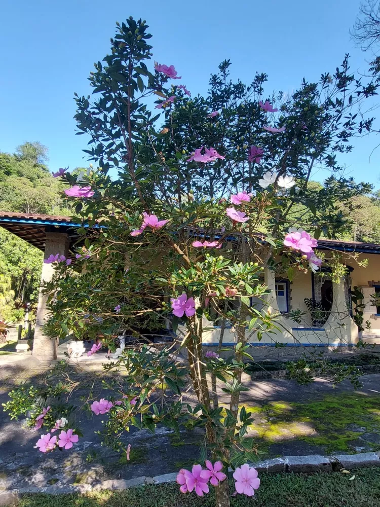 Sítio, 5 quartos - Foto 14