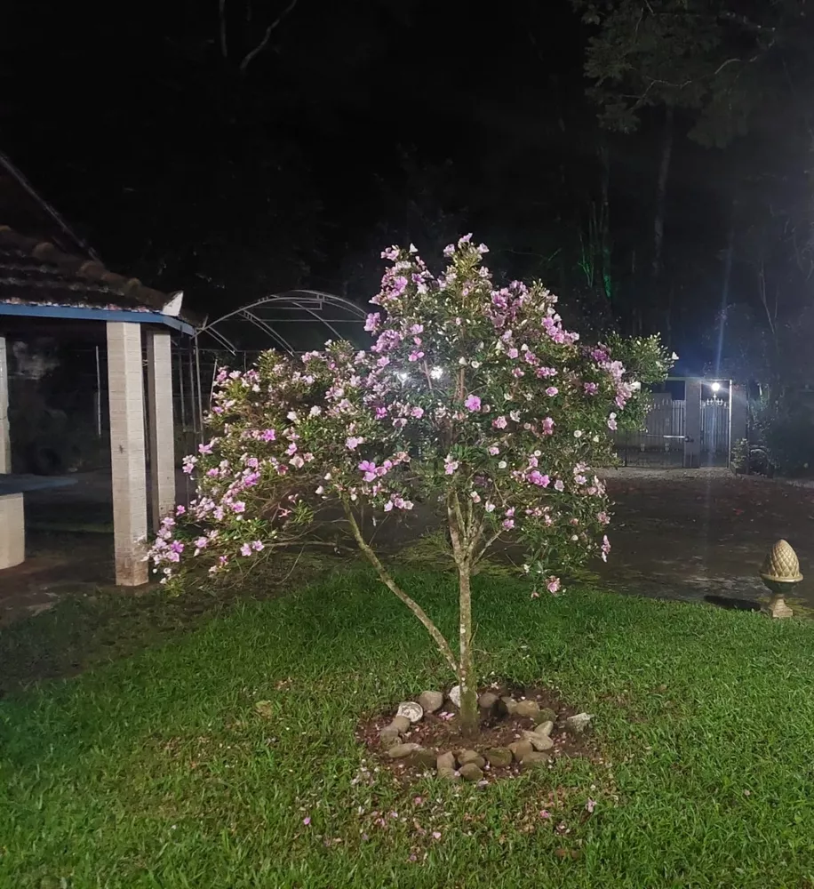 Sítio, 5 quartos - Foto 7