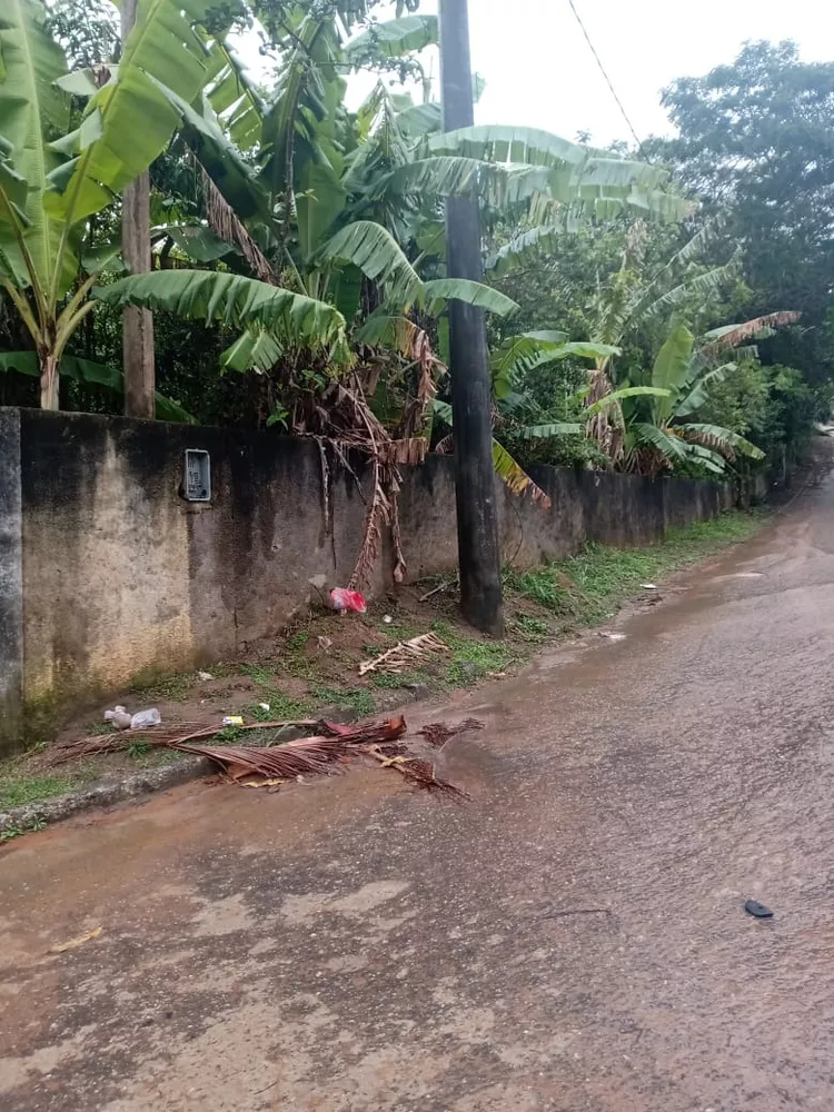 Terreno, 900 m² - Foto 3