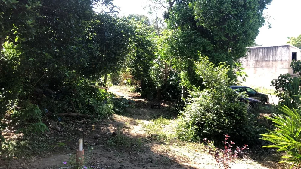 Terreno, 1371 m² - Foto 4