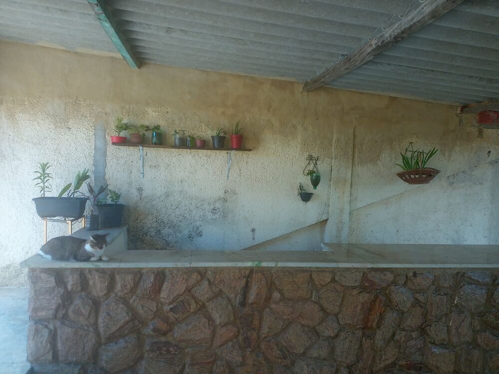 Sítio, 4 quartos - Foto 29
