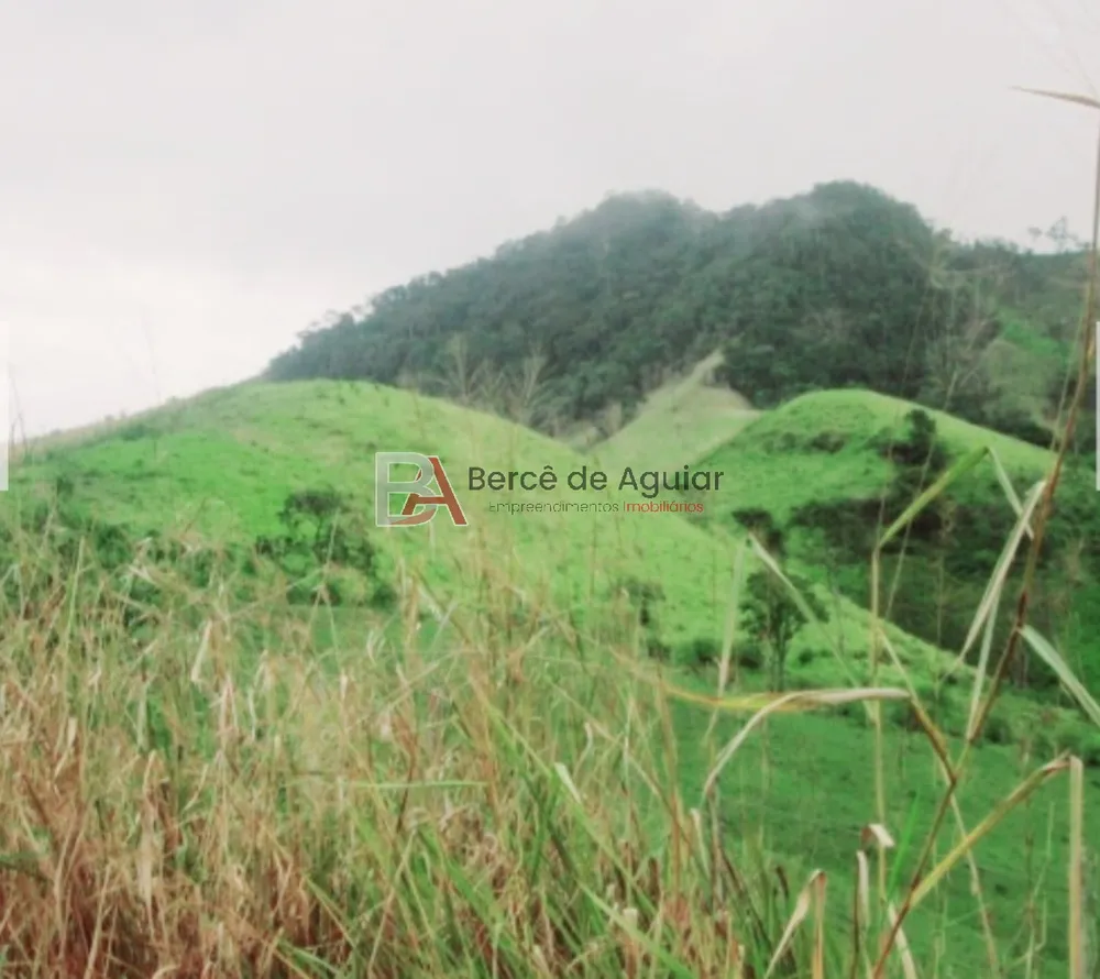 Fazenda - Foto 1