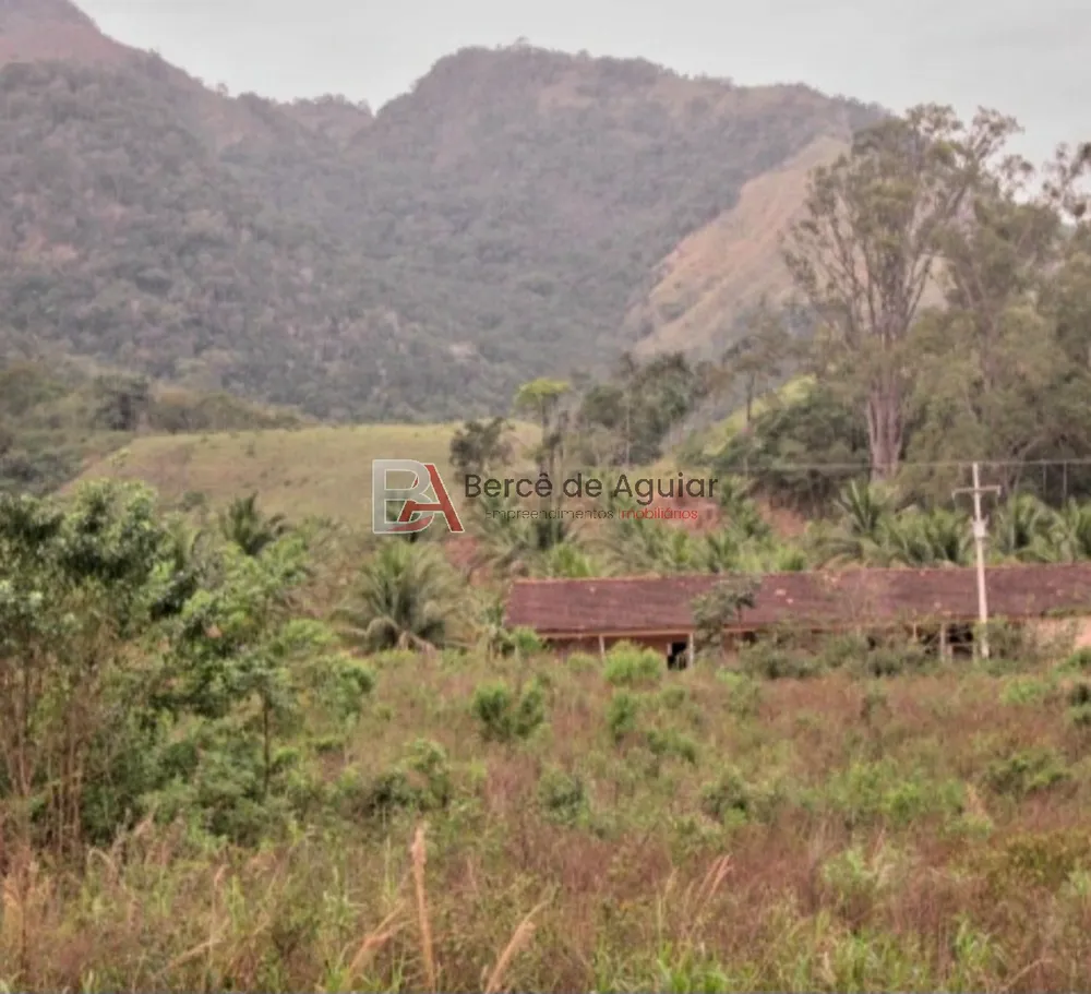 Fazenda - Foto 14