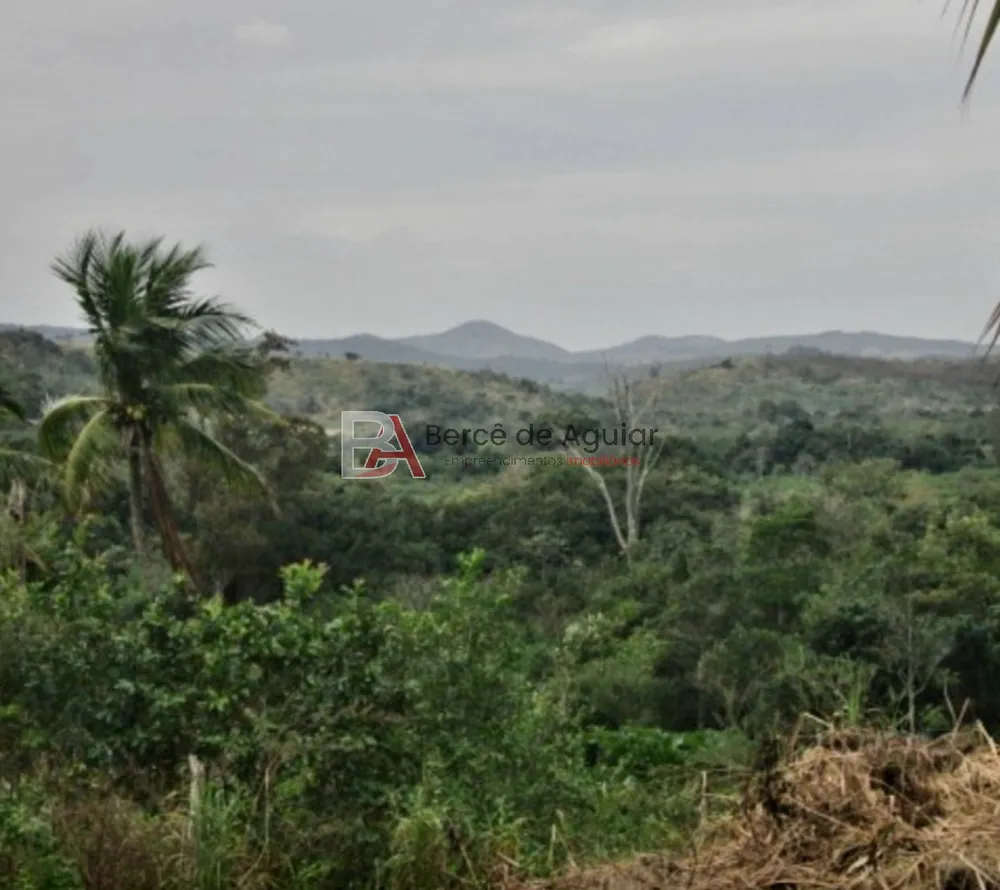 Fazenda - Foto 16