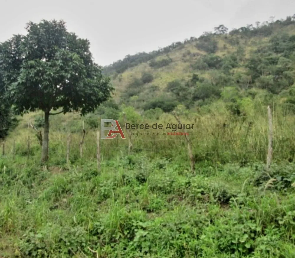 Fazenda - Foto 4