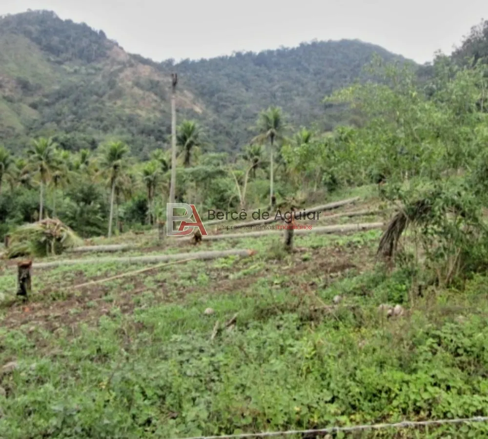 Fazenda - Foto 9