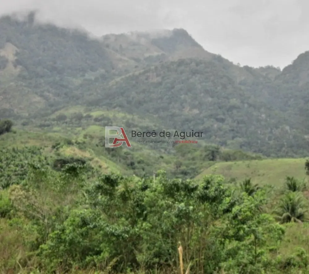 Fazenda - Foto 15