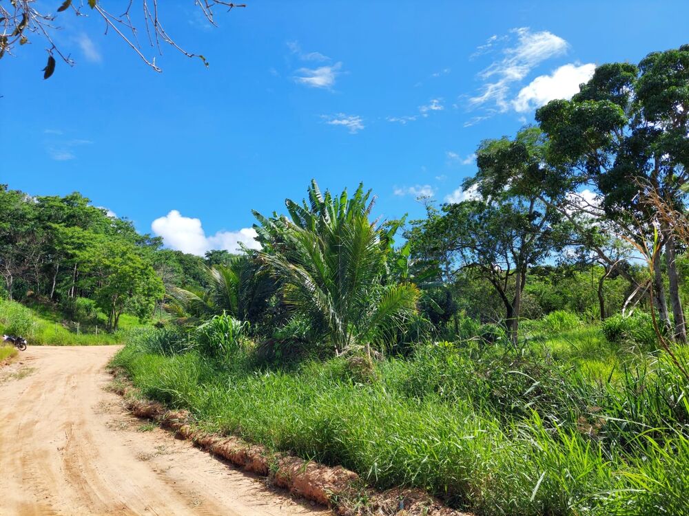 Fazenda, 3092 m² - Foto 7