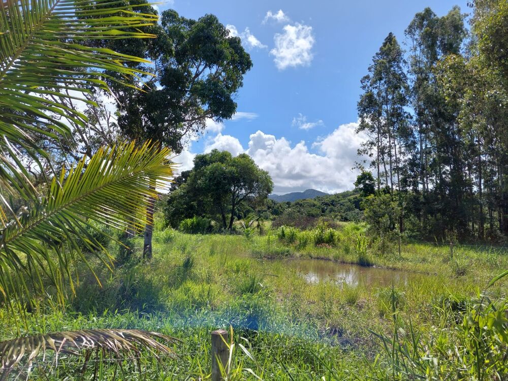 Fazenda, 3092 m² - Foto 5