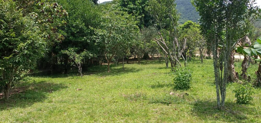 Chácara à venda com 1 quarto - Foto 7