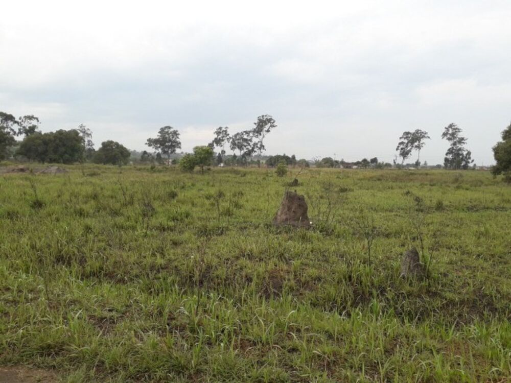 Terreno, 1000 m² - Foto 5