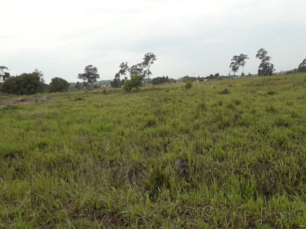 Terreno, 1000 m² - Foto 2