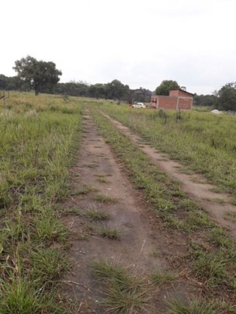Terreno, 1000 m² - Foto 4