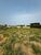 Terreno, 600 m² - Foto 3