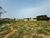 Terreno, 600 m² - Foto 1