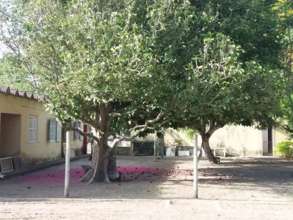 Sítio, 8 quartos - Foto 7