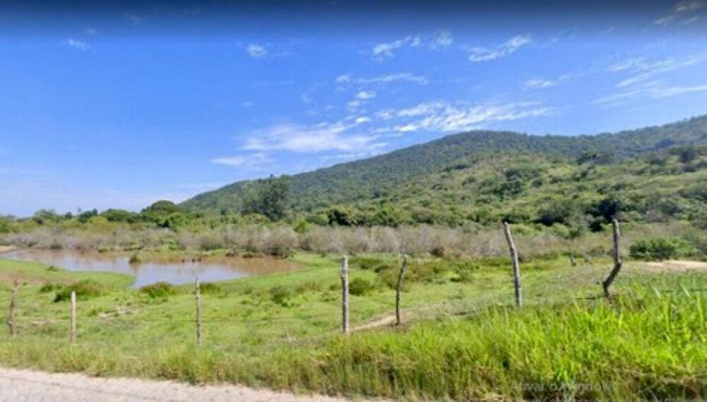 Terreno, 21 hectares - Foto 4