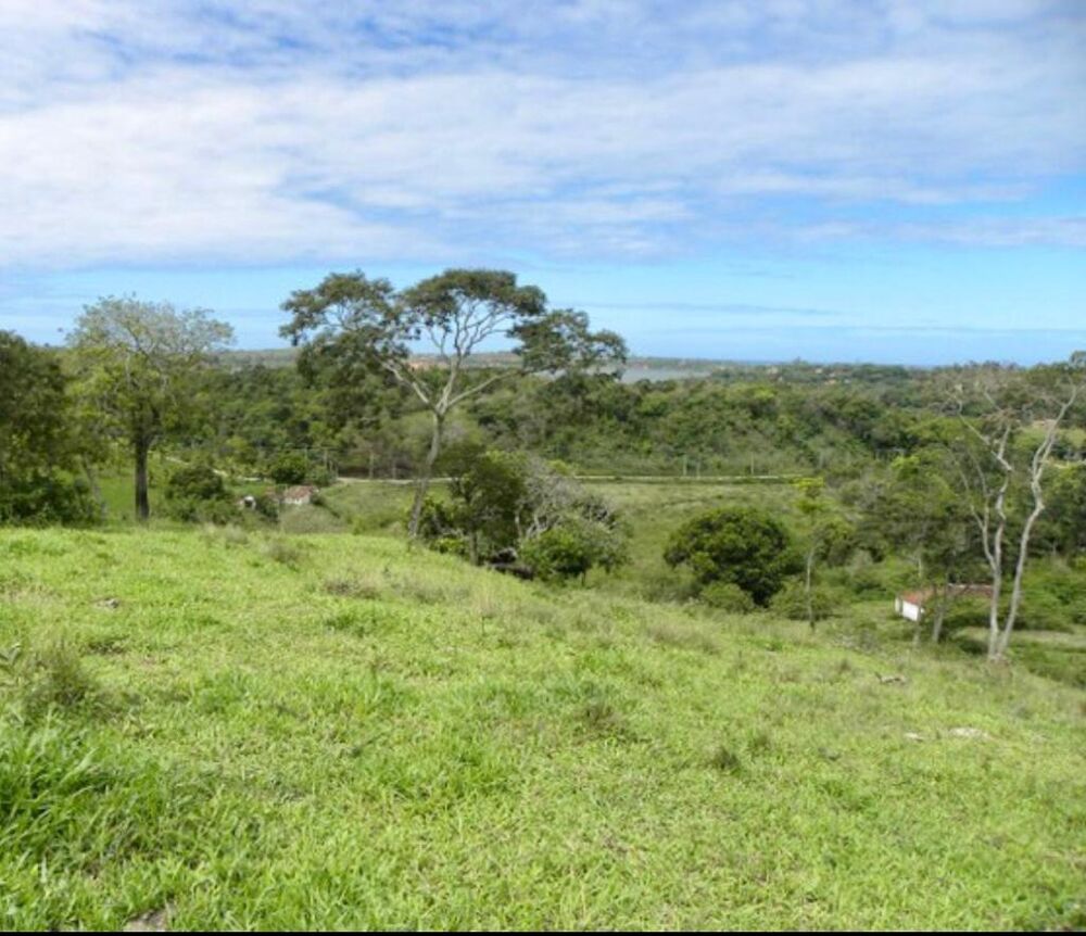 Terreno, 21 hectares - Foto 2