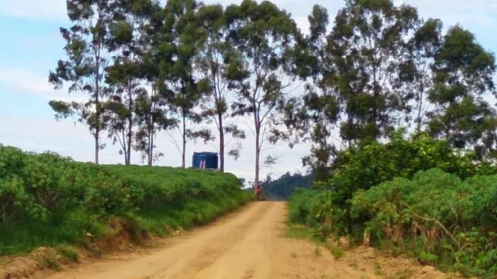 Sítio à venda - Foto 10