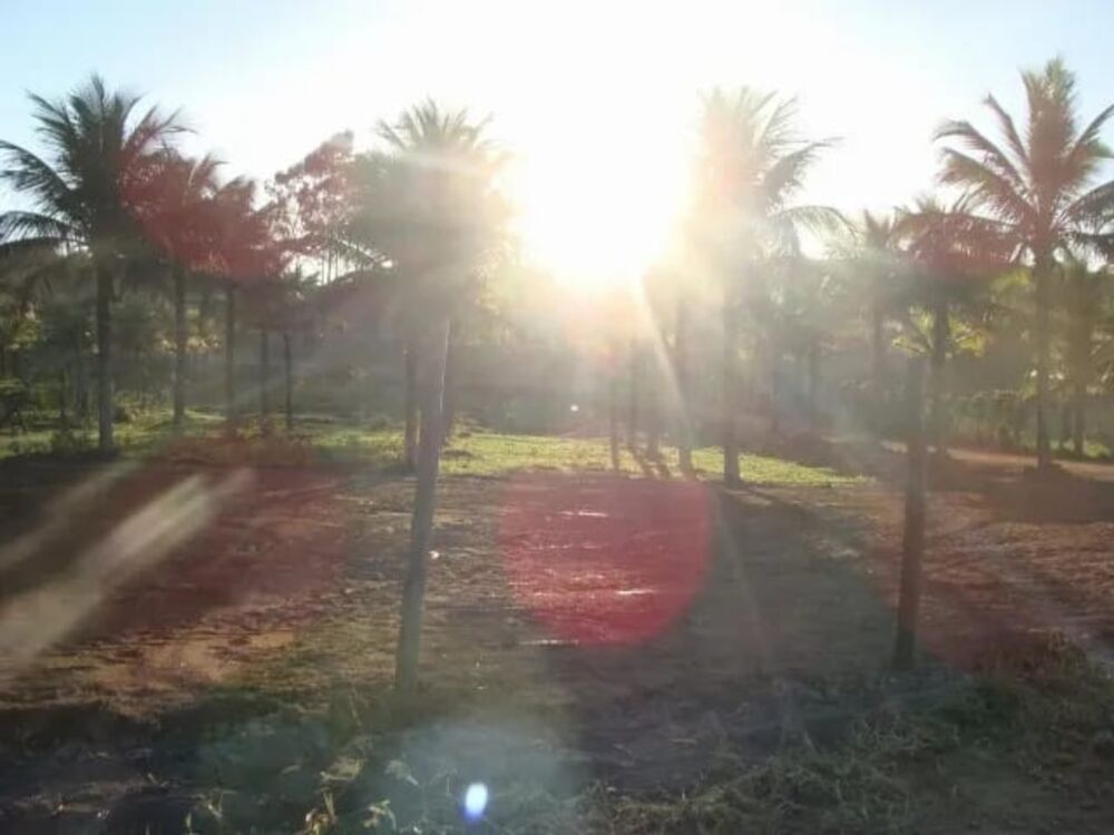 Sítio à venda - Foto 12