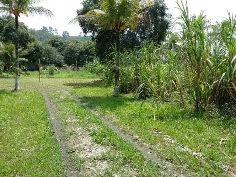 Sítio, 4 quartos - Foto 15