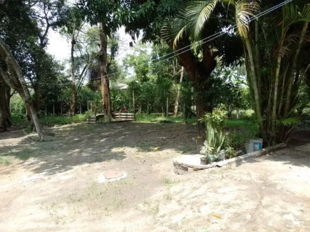 Sítio, 4 quartos - Foto 10