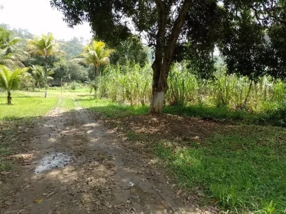 Sítio, 4 quartos - Foto 20