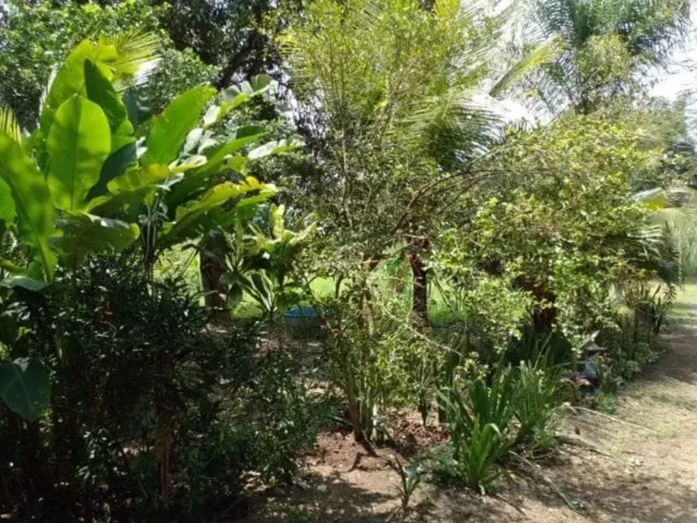 Sítio, 4 quartos - Foto 13