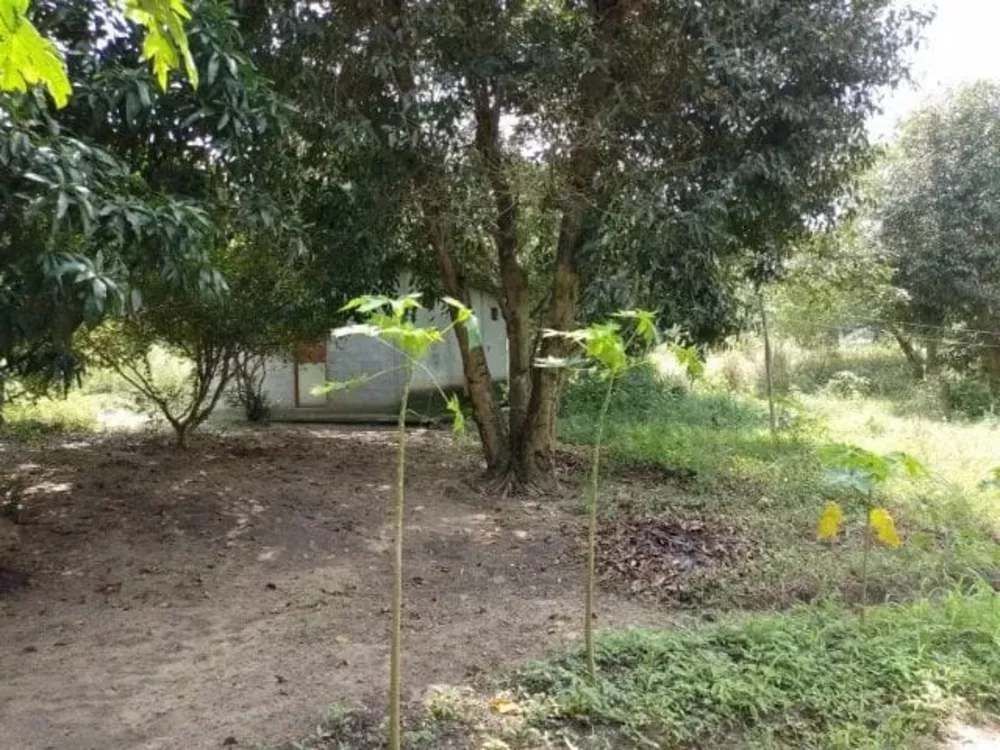 Sítio, 4 quartos - Foto 11