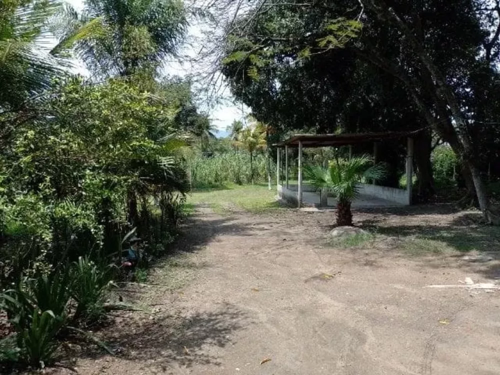 Sítio, 4 quartos - Foto 6